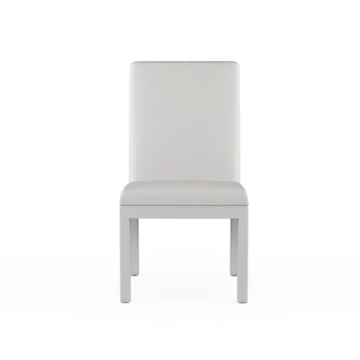 Aleksandar Dining Chair - Silver Streak Plush Velvet
