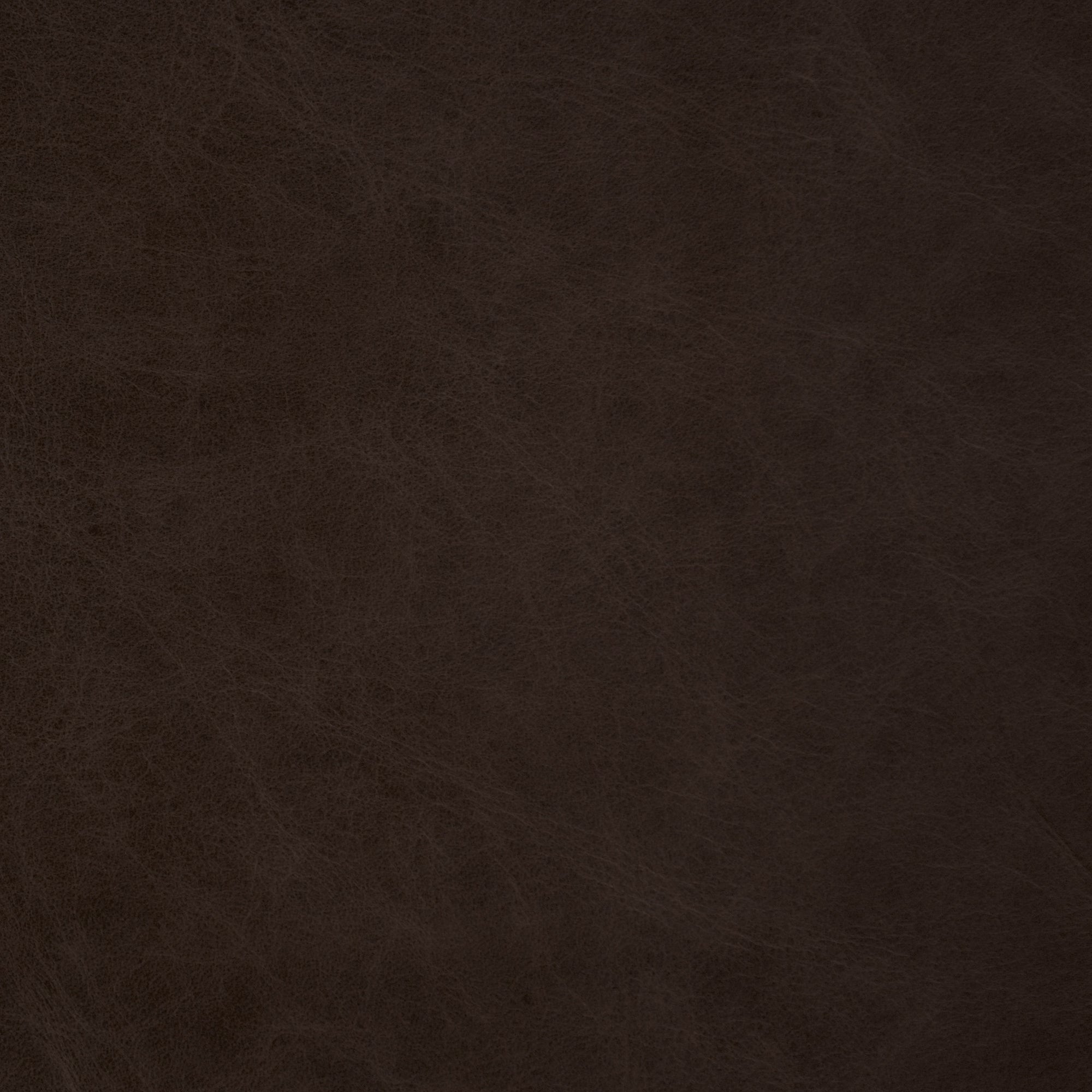 Chocolate Salerno Leather -  Swatch