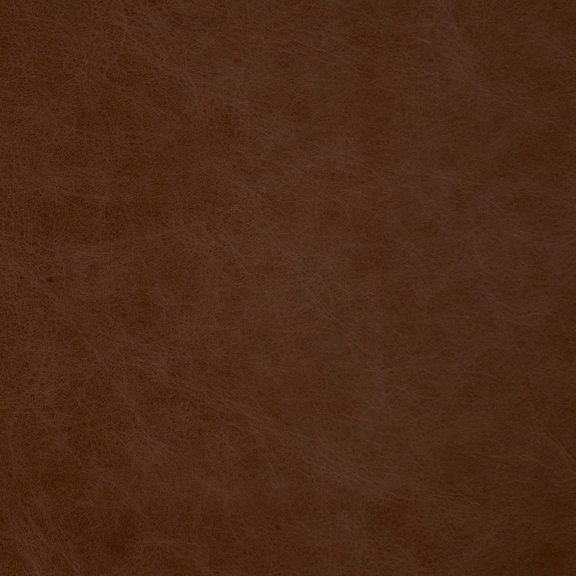 Cognac Salerno Leather -  Swatch