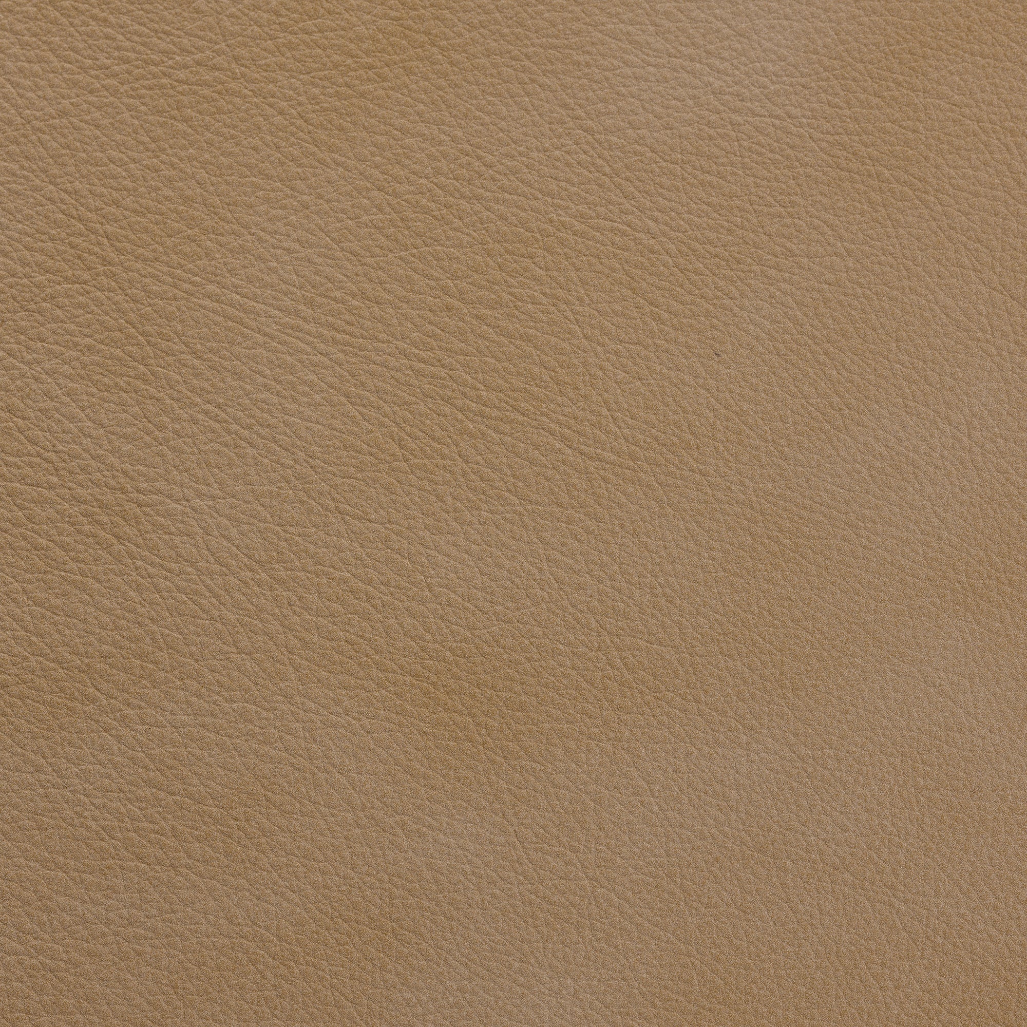 Marzipan Nubuck Leather -  Swatch