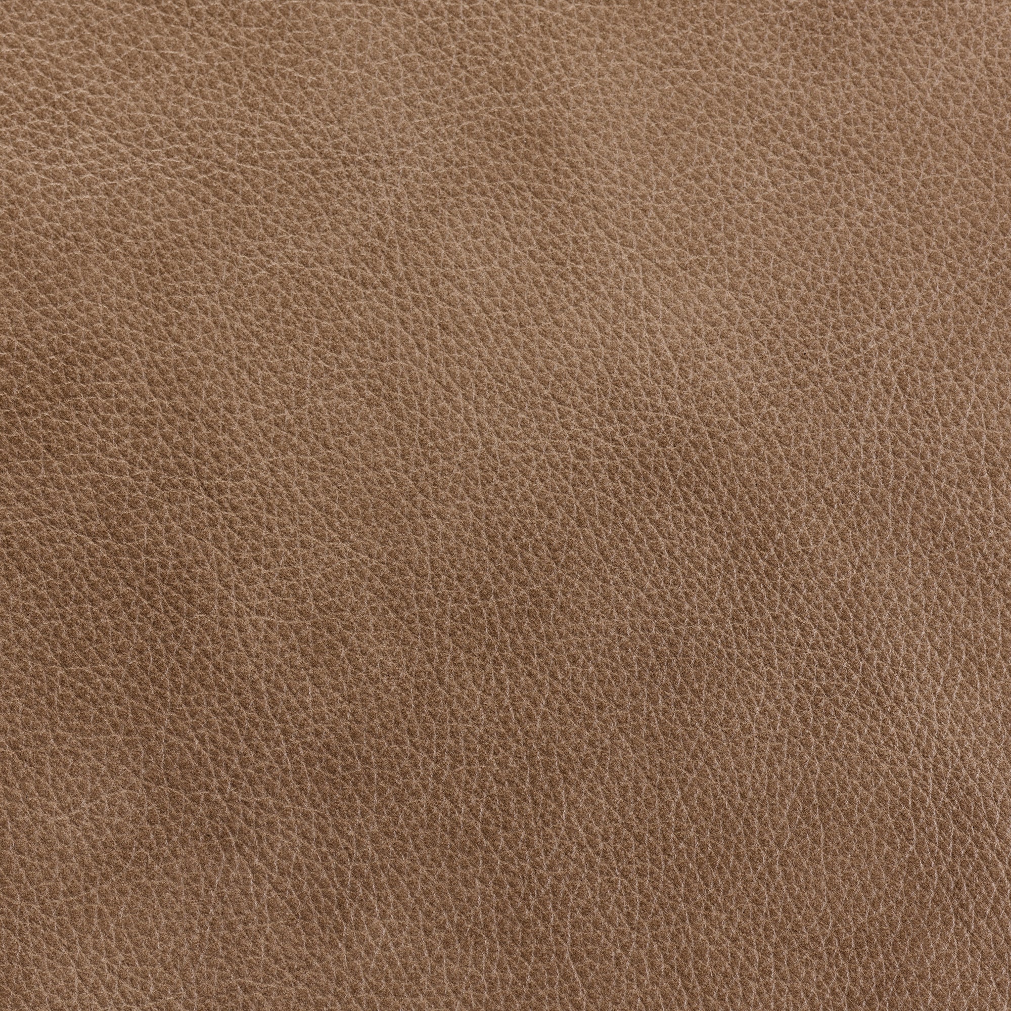Pumice Vintage Leather - Swatch